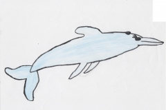 a8